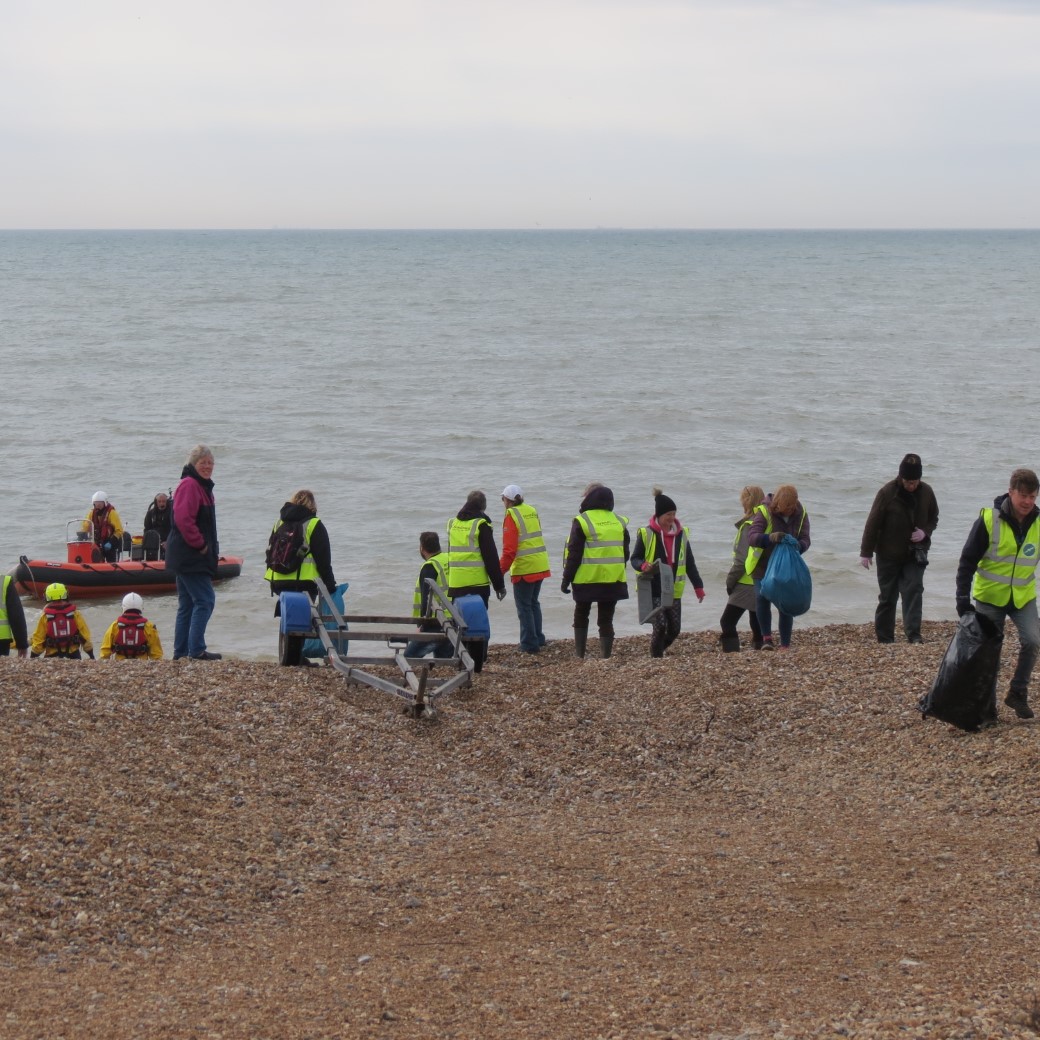 volunteers collaborated to clean the beach 